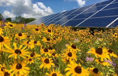 Agro Fotovoltaico difesa dell’ambiente e convenienza economica